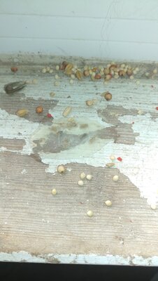 20201009_145409.jpg