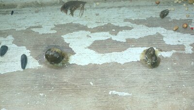 20201009_144541.jpg