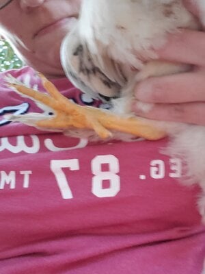 20201009_182336.jpg