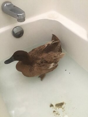 C3975E31-D4CB-4501-A0B7-020174C5E8AC.jpeg