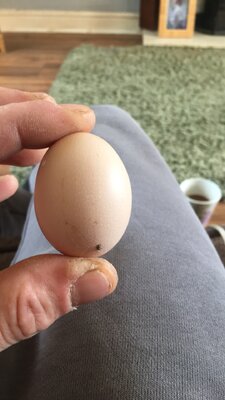 88C8361D-5C8E-4D53-8BBF-D49DAA811B7E.jpeg