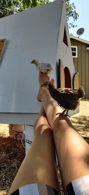 IMG_20200715_114508.jpg