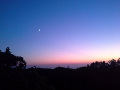 20201013_050146.jpg