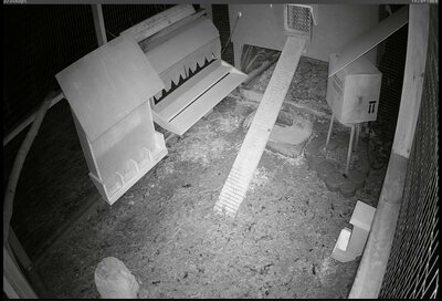 run-cam-01.jpg