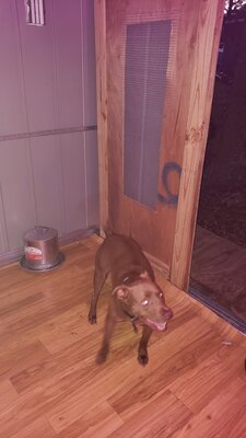 20201010_184343.jpg