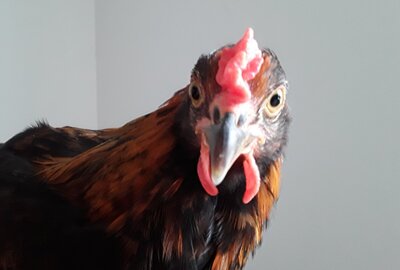 20201017_124646.jpg