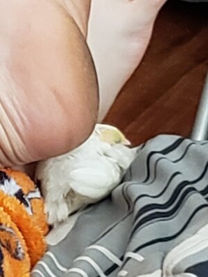 20200829_143840.jpg