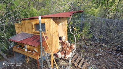 IMG-20201018-WA0009.jpg