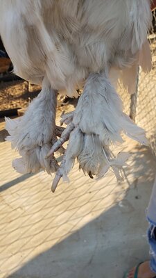 20201017_165038.jpg