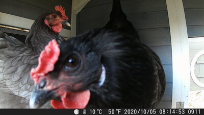 DSCF0911.JPG
