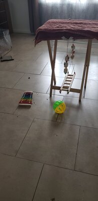 20201020_094059.jpg