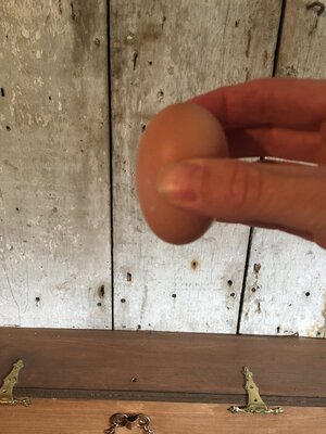 DC36E386-0610-4BAA-9408-818D4F7ADFB0.jpeg