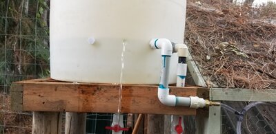 Auto Water Plugs & Plumbing 6.28.2020.jpg
