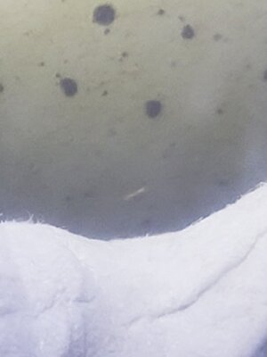 20201021_100035.jpg