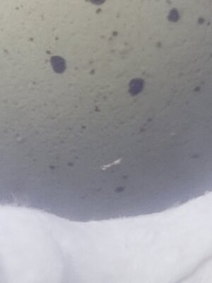 20201021_100101.jpg