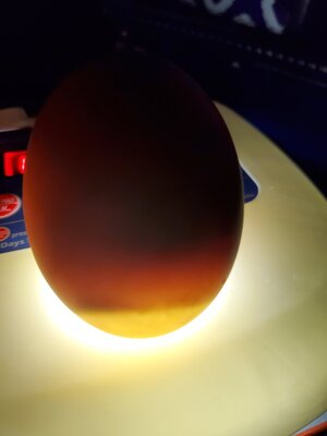 20201021_202437.jpg