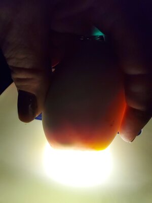 20201021_202406.jpg