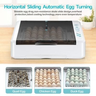 Hatching Incubator.jpg