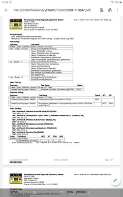 Screenshot_20201021-225417_Drive.jpg