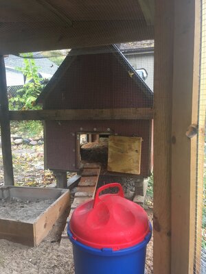 Producer's Pride Chicken Coop Brooder and Heater