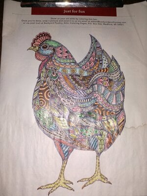 Colored Chicken.jpg