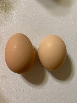 egg4.jpg