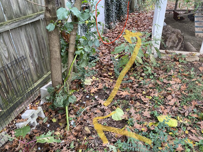 fence4.jpg