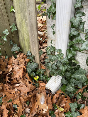fence 3.jpg