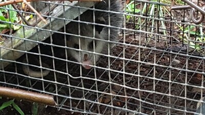 20170906_165307.jpg