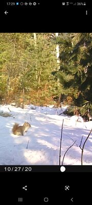 Screenshot_20201027-172946_Photos.jpg