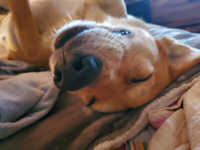 20201030_195542.jpg