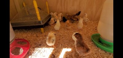 Screenshot_20200919-143234_Video Player.jpg