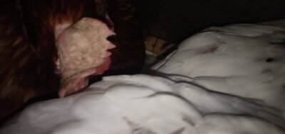 IMG20201102181357.jpg