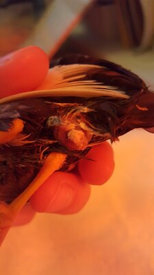 20201102_070826.jpg