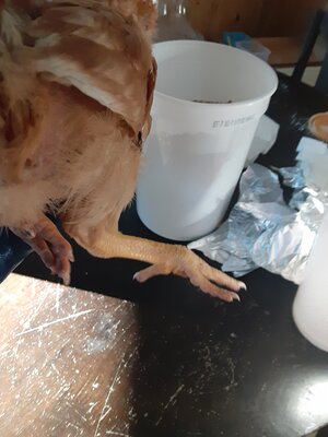 20201102_154007.jpg