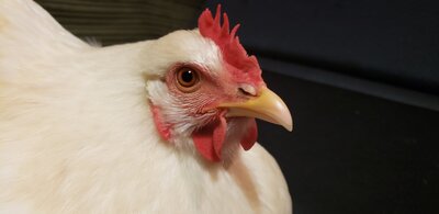 20201102_192135.jpg