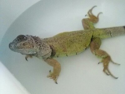  Bath.jpg