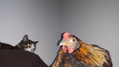 20201015_161729.jpg