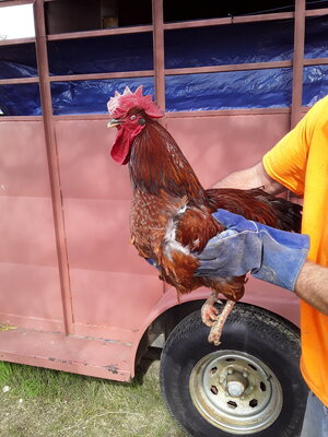20201104_125537.jpg