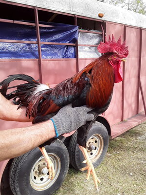 20201104_125727.jpg