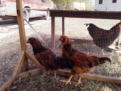 20201104_130003.jpg