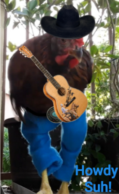 20201027_103847.png
