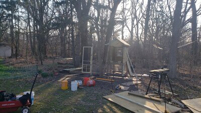 20200401_174951[1].jpg