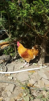 20201106_110551.jpg