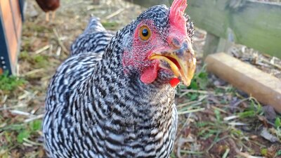 20201107_073213.jpg