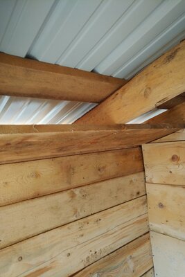 IMG_20201107_1242109.jpg