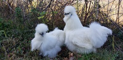 20201108_125027.jpg