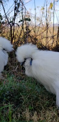 20201108_125015.jpg
