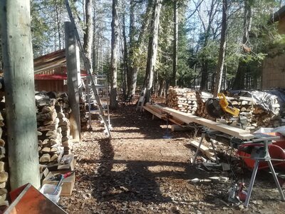 IMG_20201108_130141.jpg