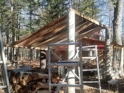 IMG_20201108_130204.jpg